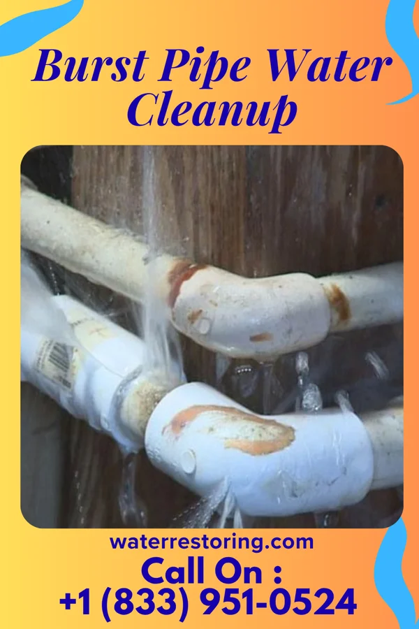 Burst Pipe Water Cleanup in Neville, OH