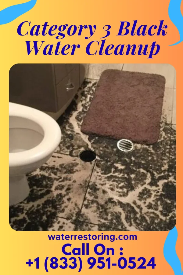 Category 3 Black Water Cleanup in Neville, OH