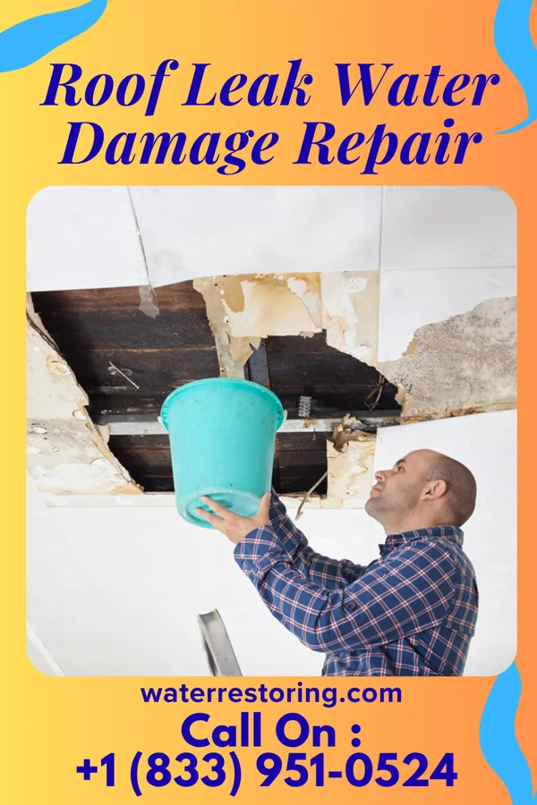 Roof Leak Water Damage Repair in Neville, OH
