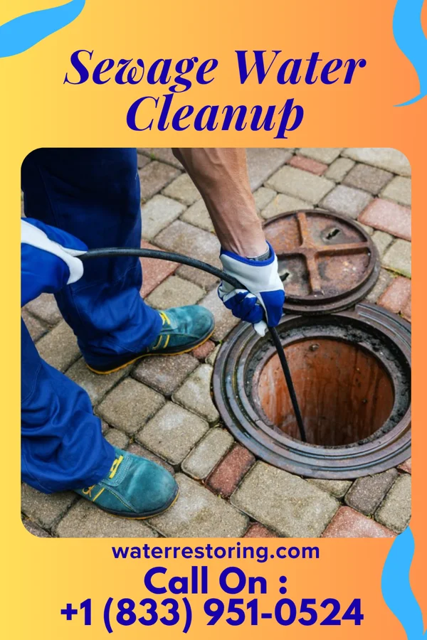 Sewage Water Cleanup in Neville, OH